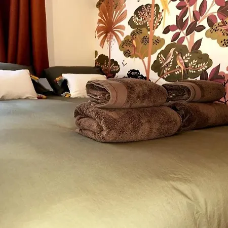Lerelaisdodile - Le Charme Au Coeur De - Ideal Couple & Travailleurs Apartment Valenciennes