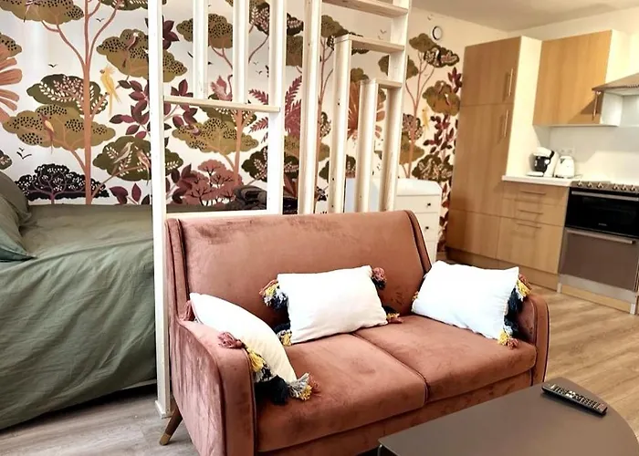 Appartement Lerelaisdodile - Le Charme Au Cœur De - Ideal Couple&travailleurs Valenciennes